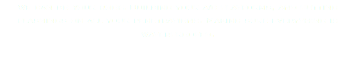 We can do your roof. Building your a/c platforms, and putting flashings on all your penetrations. Making sure everything is waterproofed. 