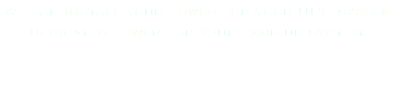 We can install your power for your UPS system. Dedicated power for your back up systems 